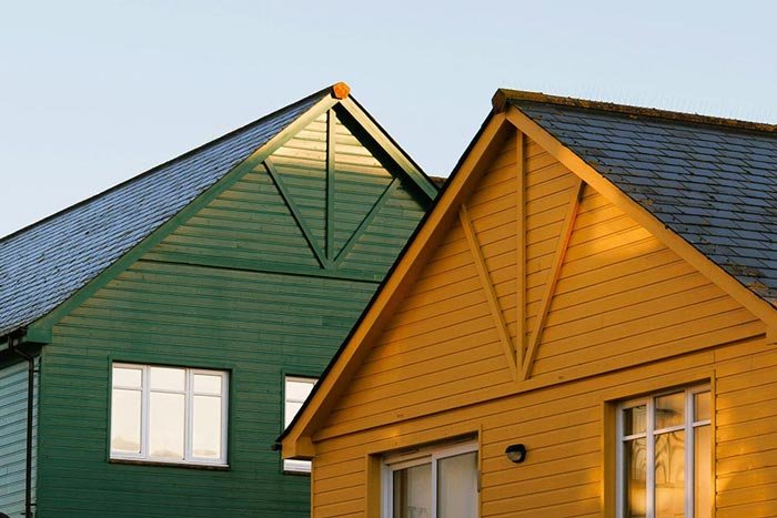 A beginner’s guide to growing indoor plants